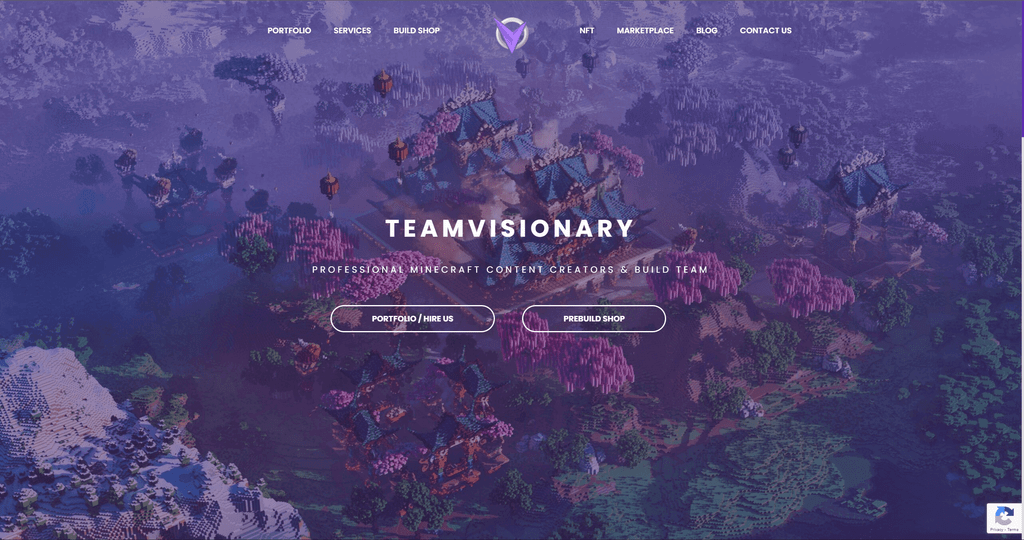 What you see when you first land on Team Visionary's website