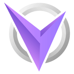 Team Visionary Logo